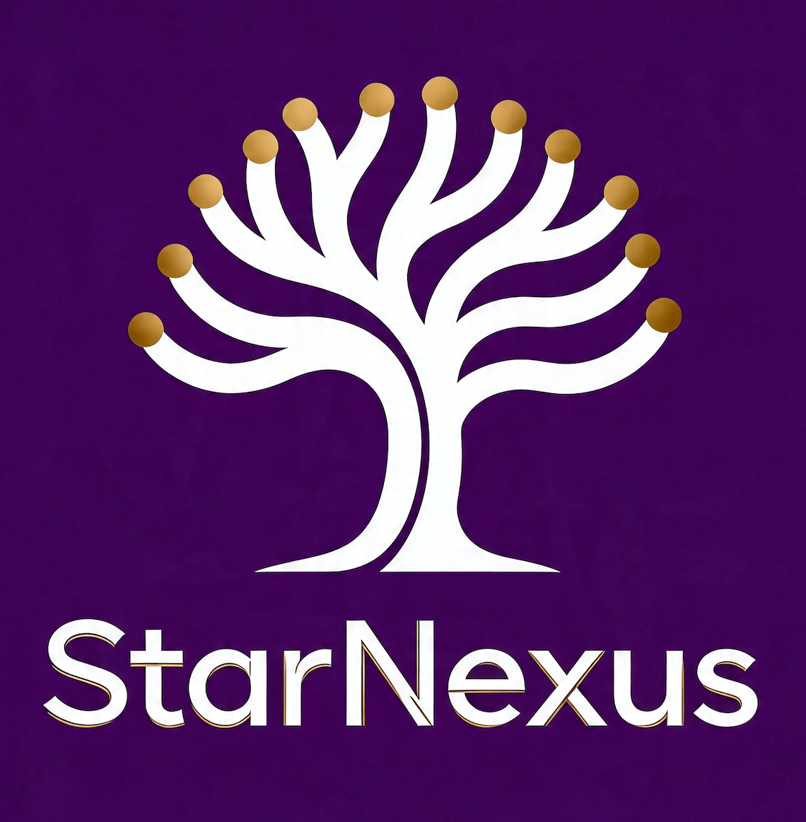StarNexus Logo